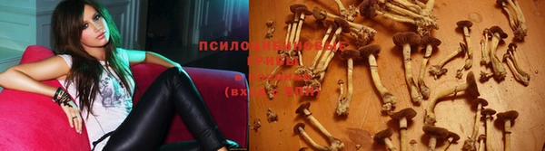 mix Абинск
