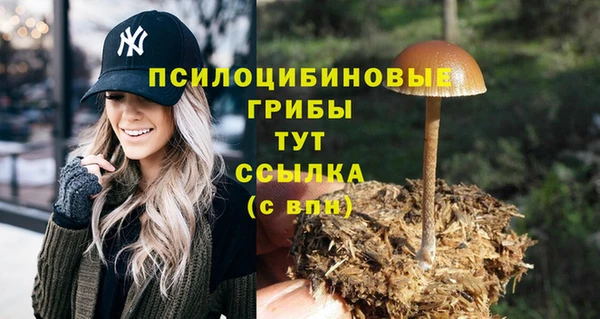 индика Абдулино