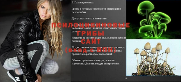 индика Абдулино