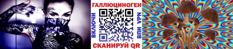 Псилоцибиновые грибы Psilocybe  Отрадная 